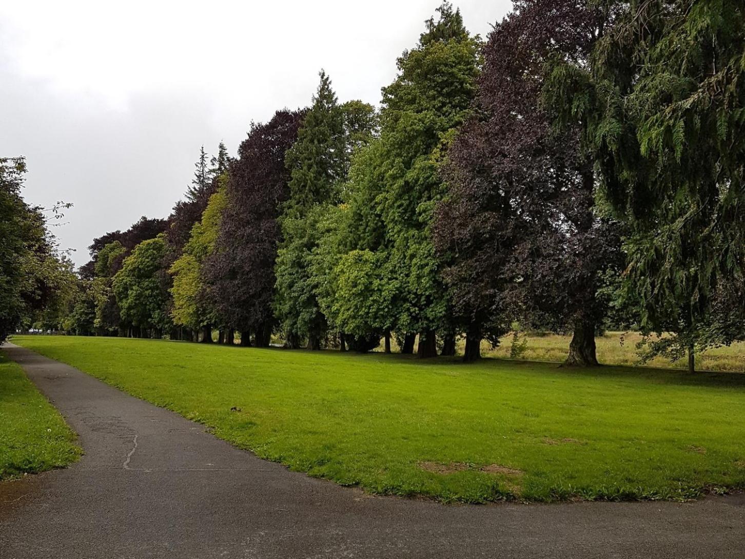 Bronwye Otel Builth Wells Dış mekan fotoğraf